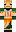 skin of a player