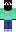 skin of a player