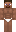 skin of a player