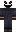 skin of a player