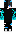 skin of a player