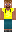 skin of a player