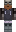 skin of a player