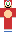 skin of a player