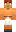 skin of a player