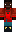skin of a player
