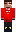 skin of a player