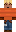 skin of a player