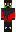 skin of a player