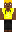 skin of a player