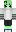 skin of a player