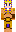 skin of a player