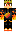 skin of a player