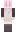 skin of a player