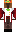 skin of a player