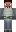 skin of a player