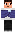 skin of a player