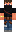 skin of a player