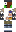 skin of a player