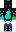 skin of a player
