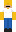 skin of a player