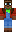 skin of a player