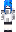 skin of a player