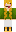 skin of a player