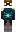 skin of a player