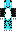 skin of a player