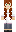 skin of a player