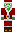 skin of a player