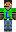 skin of a player