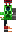 skin of a player