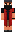 skin of a player
