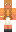 skin of a player