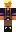 skin of a player