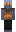 skin of a player