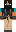 skin of a player