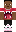 skin of a player