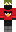 skin of a player