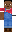 skin of a player