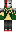skin of a player