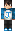 skin of a player