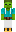 skin of a player