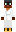 skin of a player