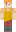 skin of a player