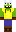 skin of a player