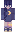 skin of a player