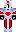 skin of a player